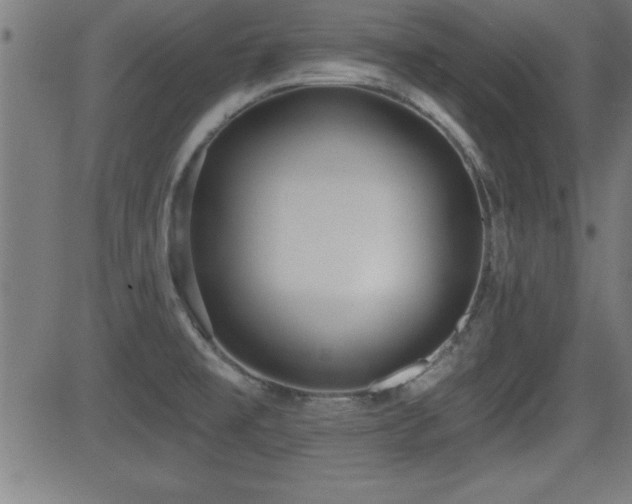X0000081381477200701111440