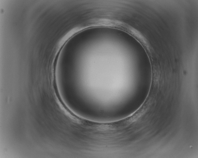 X0000081381479200701111439