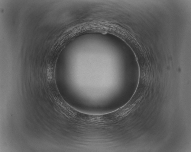 X0000081381490200701111439