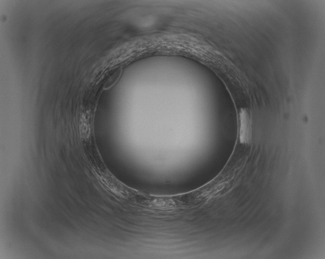X0000081381491200701111439