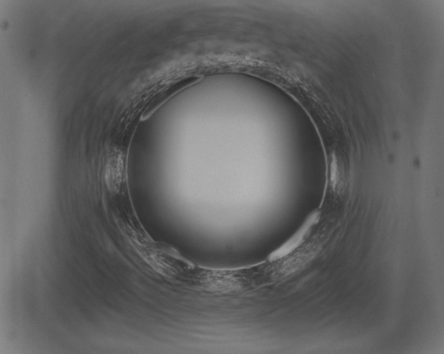 X0000081381492200701111439