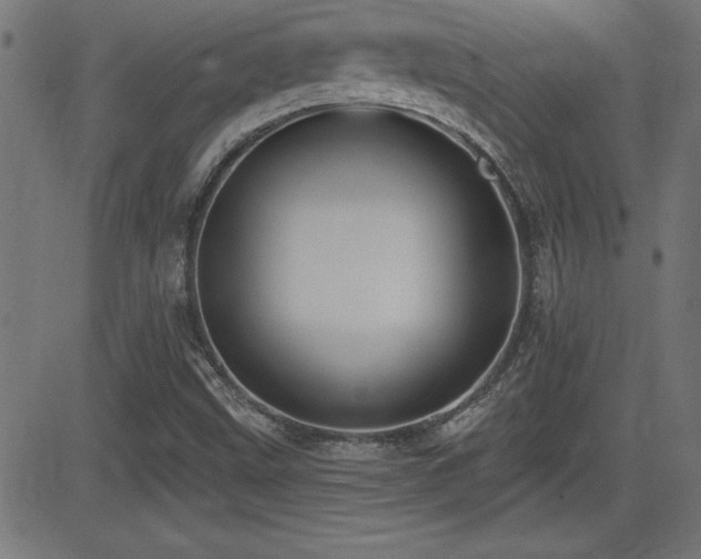 X0000081381499200701111439
