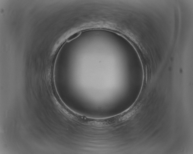 X0000081381500200701111439