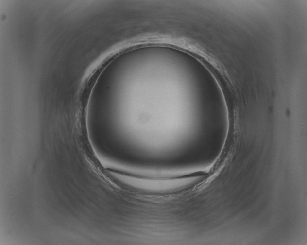 X0000081381502200701111439