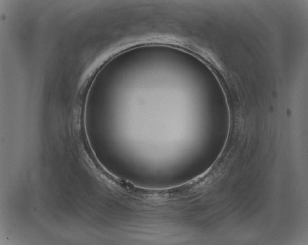 X0000081381504200701111439