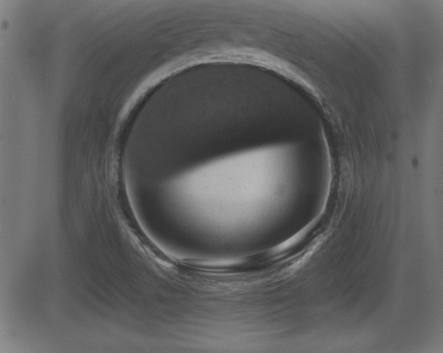 X0000081381506200701111439