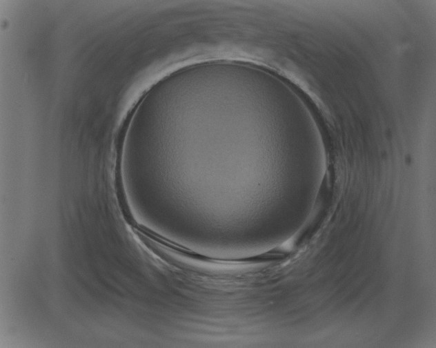 X0000081381508200701111439