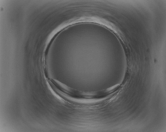 X0000081381519200701111439