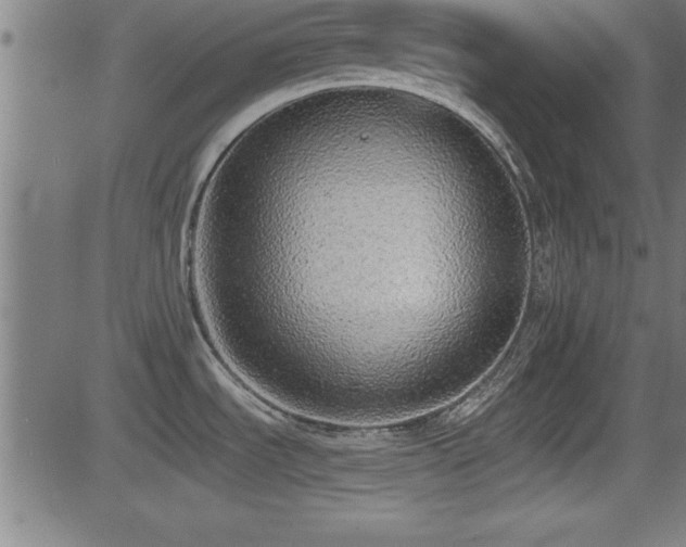X0000081381535200701111439