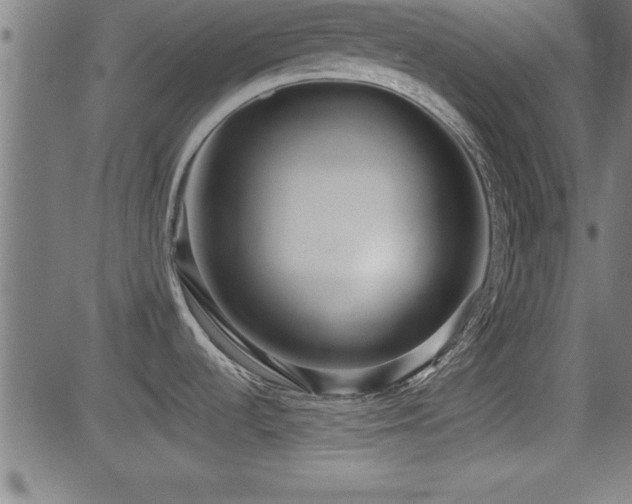 X0000081381536200701111439