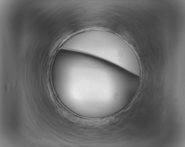 X0000081380001200701182218