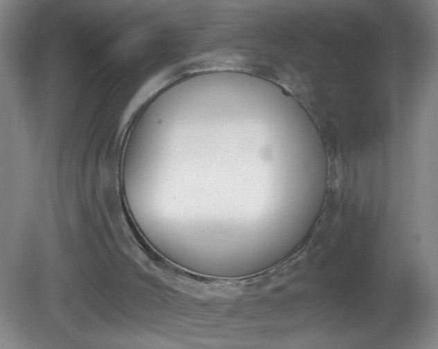 X0000081380004200701182218