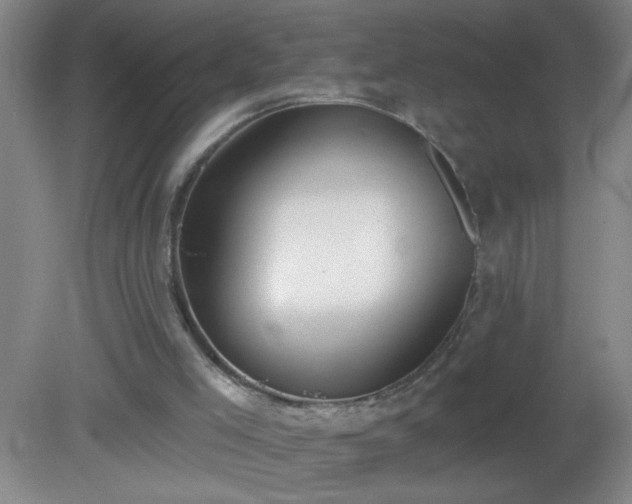 X0000081380005200701182218