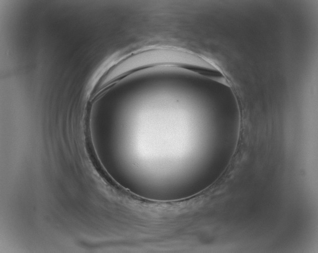 X0000081380007200701182218