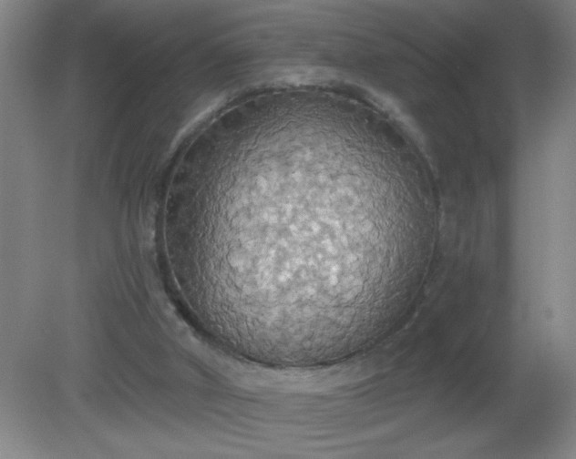 X0000081380010200701182218