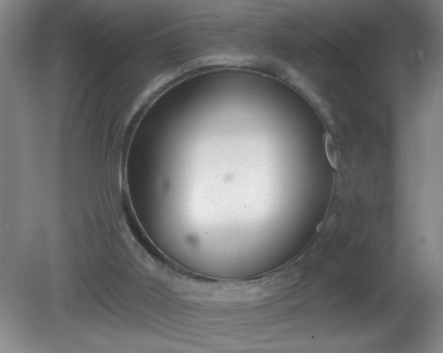 X0000081380011200701182218