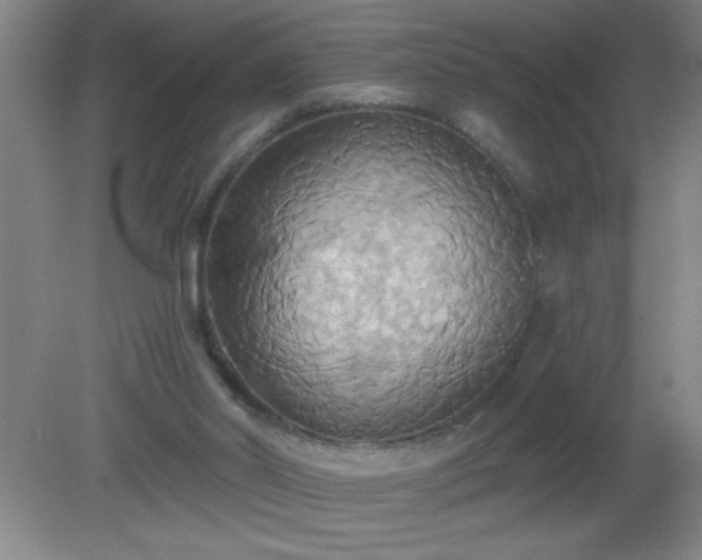 X0000081380014200701182218