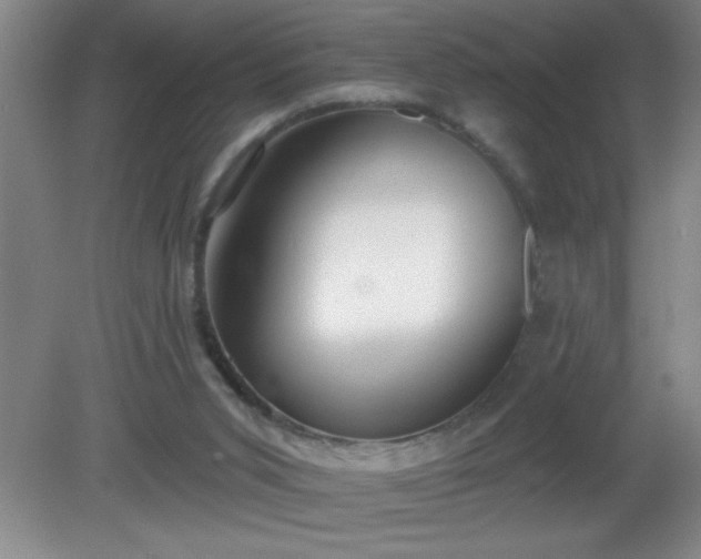 X0000081380015200701182218