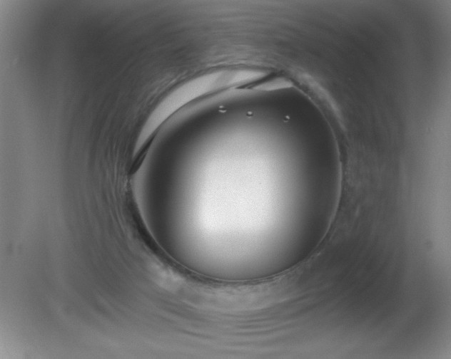 X0000081380017200701182218