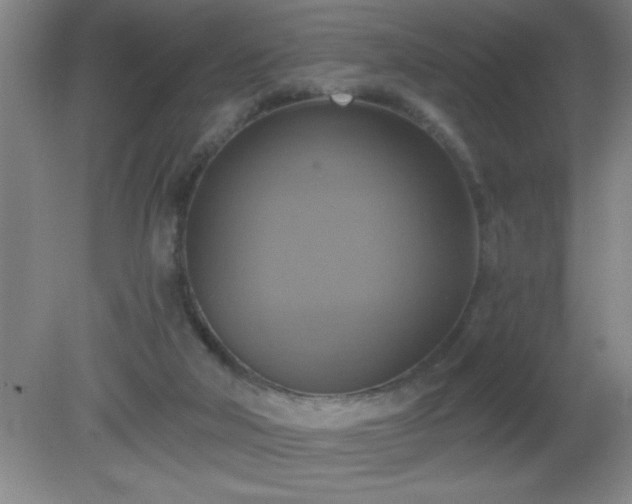 X0000081380018200701182218