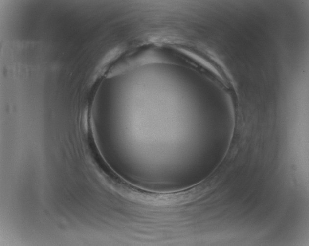 X0000081380019200701182218