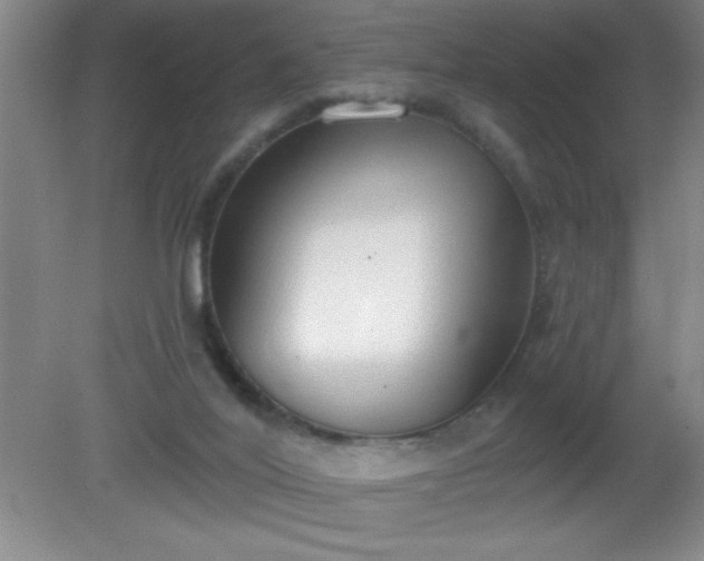 X0000081380020200701182218