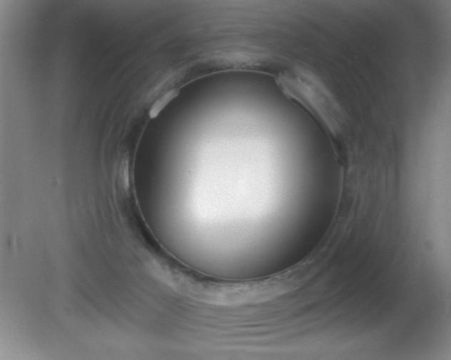 X0000081380021200701182218