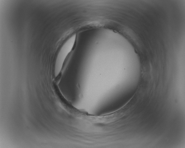 X0000081380023200701182218