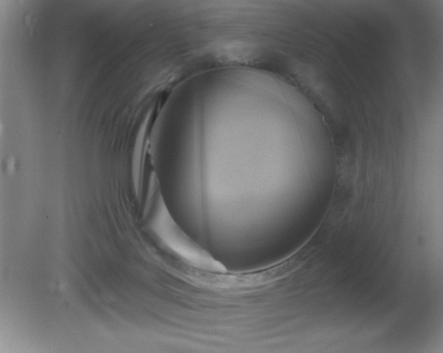 X0000081380027200701182218