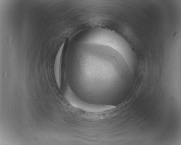 X0000081380029200701182218