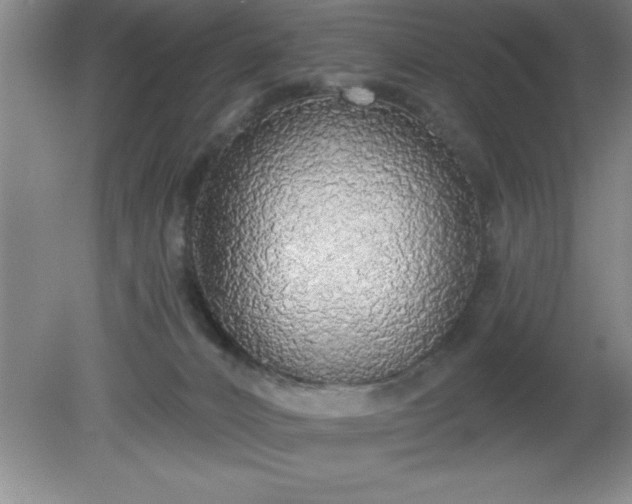 X0000081380032200701182218