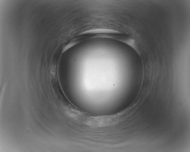 X0000081380033200701182217