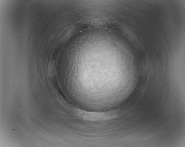 X0000081380034200701182217