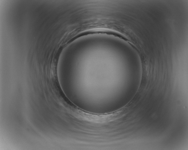 X0000081380035200701182217