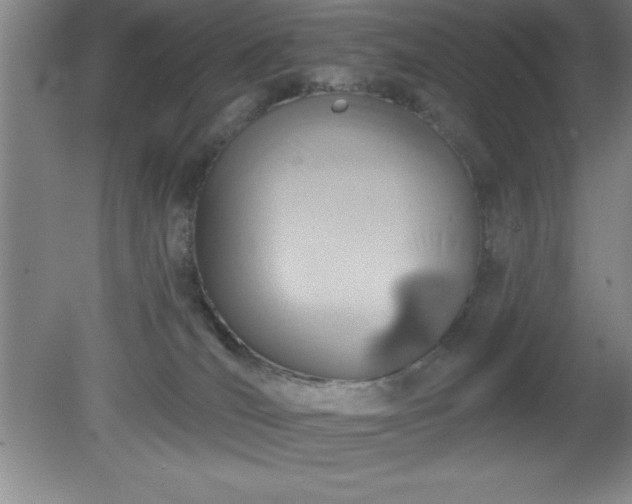 X0000081380036200701182217