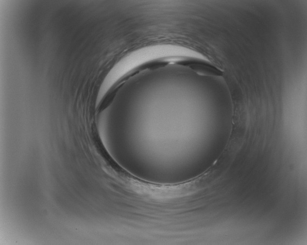 X0000081380039200701182217
