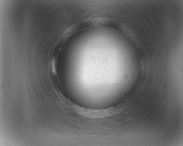 X0000081380042200701182217