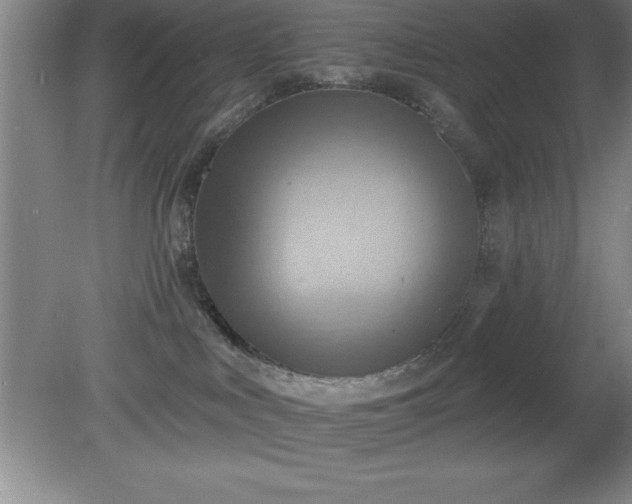 X0000081380043200701182217