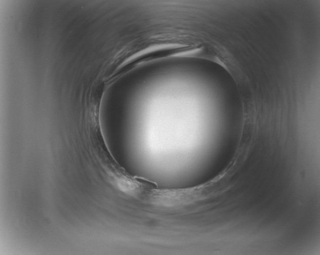 X0000081380045200701182217