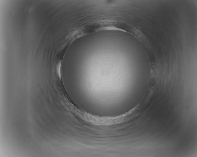 X0000081380047200701182217