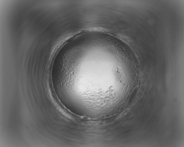 X0000081380049200701182216