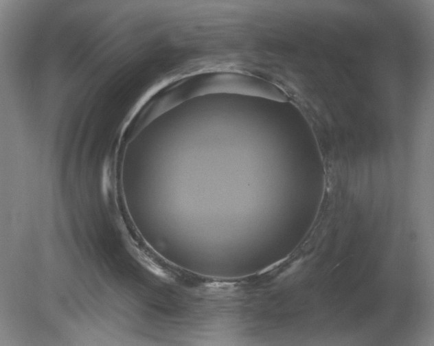 X0000081380052200701182216