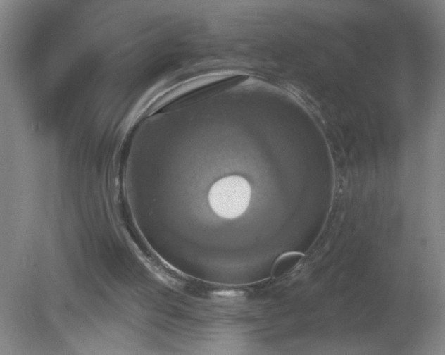 X0000081380053200701182216