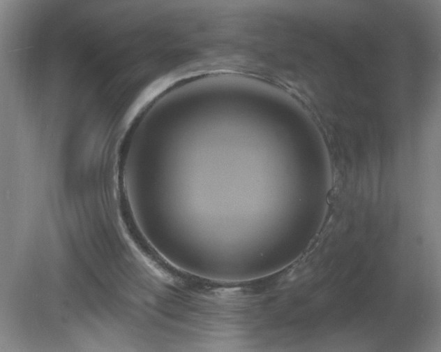 X0000081380054200701182216