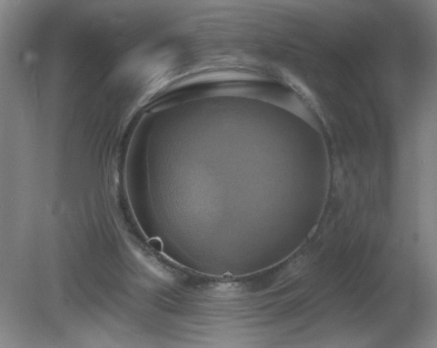 X0000081380059200701182217