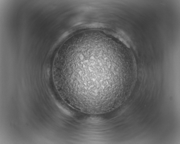 X0000081380063200701182217