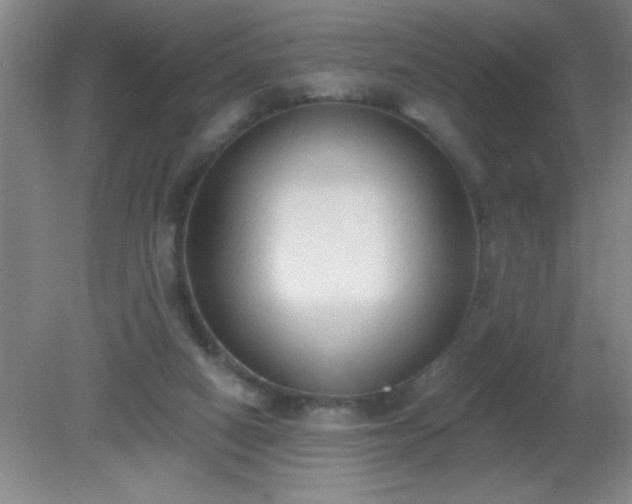 X0000081380066200701182217