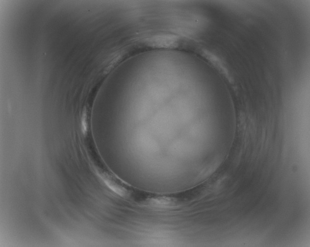 X0000081380069200701182217