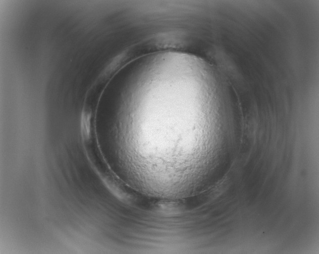 X0000081380070200701182217