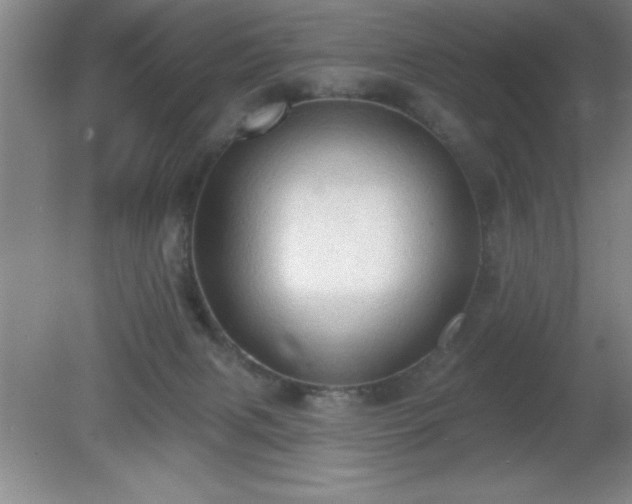 X0000081380079200701182217